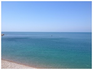 IMG_6505