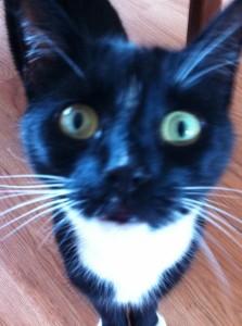 'In yer face'
