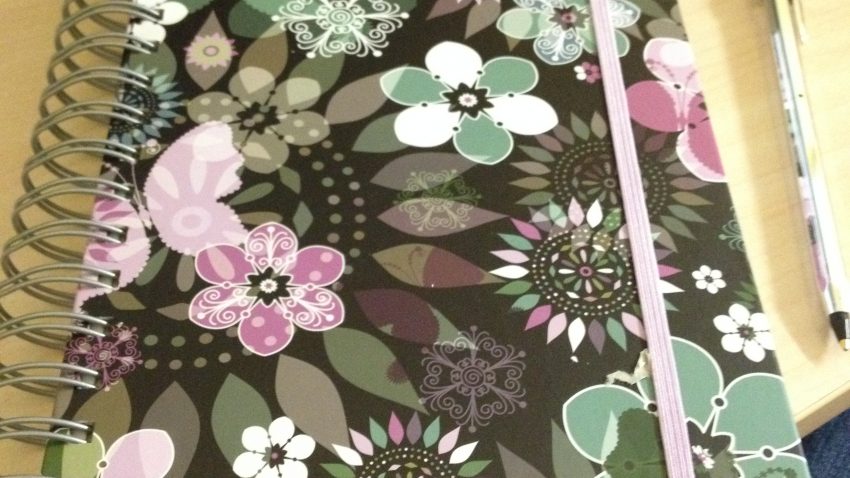 My novella notebook.